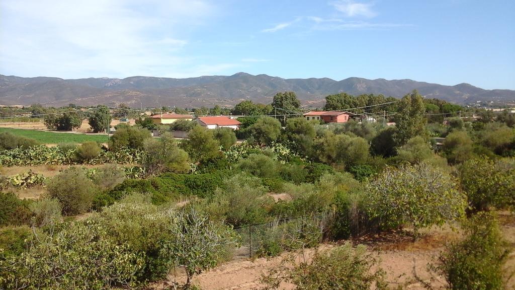 Villa Renzo E Lucia Sant Isidoro  ภายนอก รูปภาพ