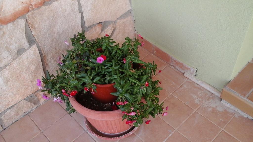 Villa Renzo E Lucia Sant Isidoro  ภายนอก รูปภาพ